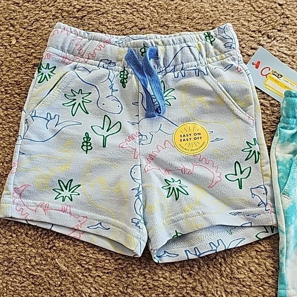 Baby Boy Shorts Bundle 12 Months Dinosaur Tie Dye